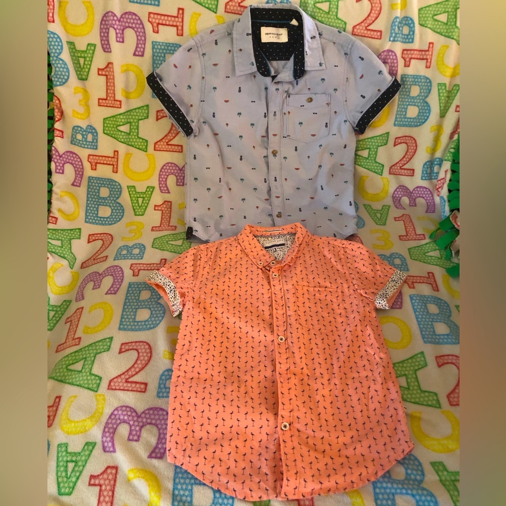 Pink Flamingos 🦩 & Tropical Island 🏝️ 🍉 🍦 🍍 🕶️ Button Down Shirts